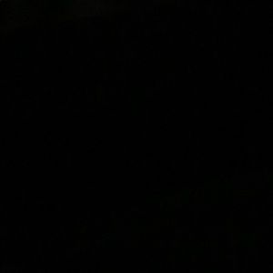 Meet your Posher, Daysi